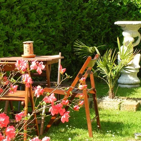 Via Venezia 206 Bed & Breakfast